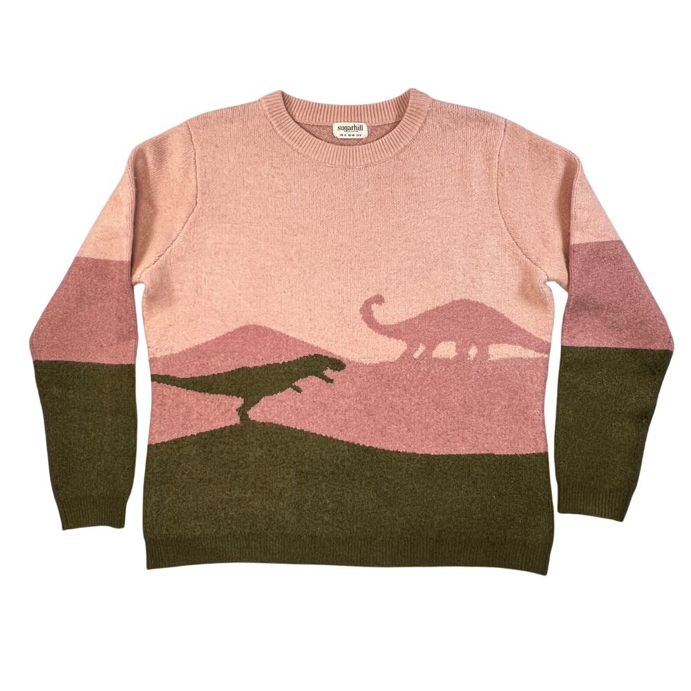 Sugarhill Brighton Dinosaur Knit Crew Neck Sweater Women's 8 Pullover Pink Green